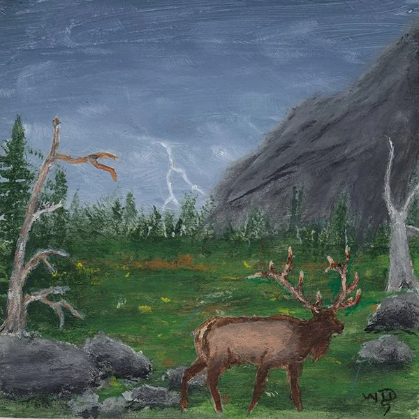 587 - "Kindness in Nature" - Terry Dedman