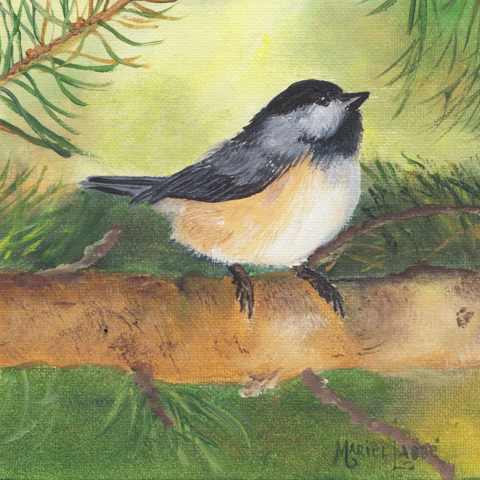 4. "Mésange" Marielle Labbé