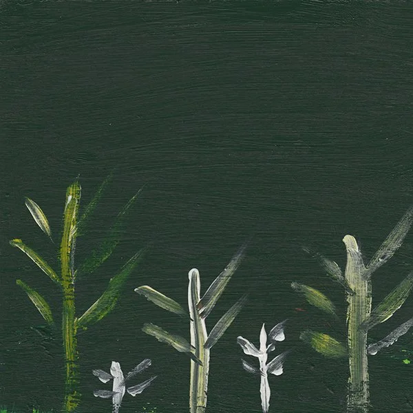 160 - "Forest View" - Lana Lawrence