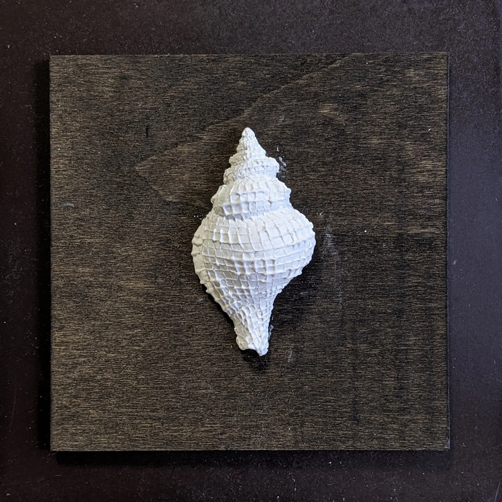 45. "Seashell #2" Lynn McDonald