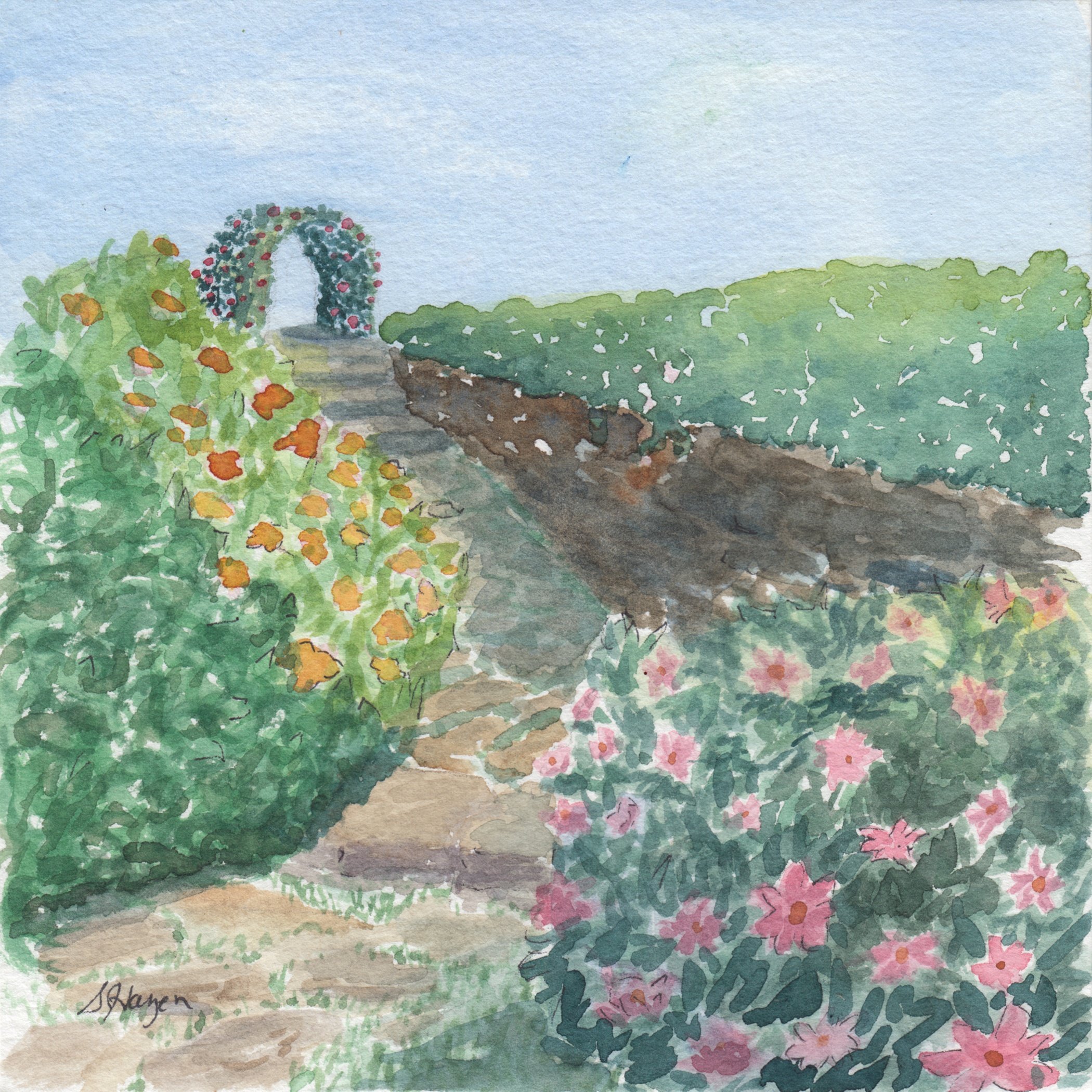 559. "Follow the Path" Shirley J. Hazen