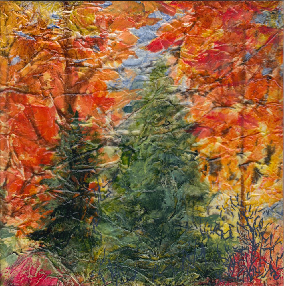 443. "Forest Glow" Anne Clattenburg