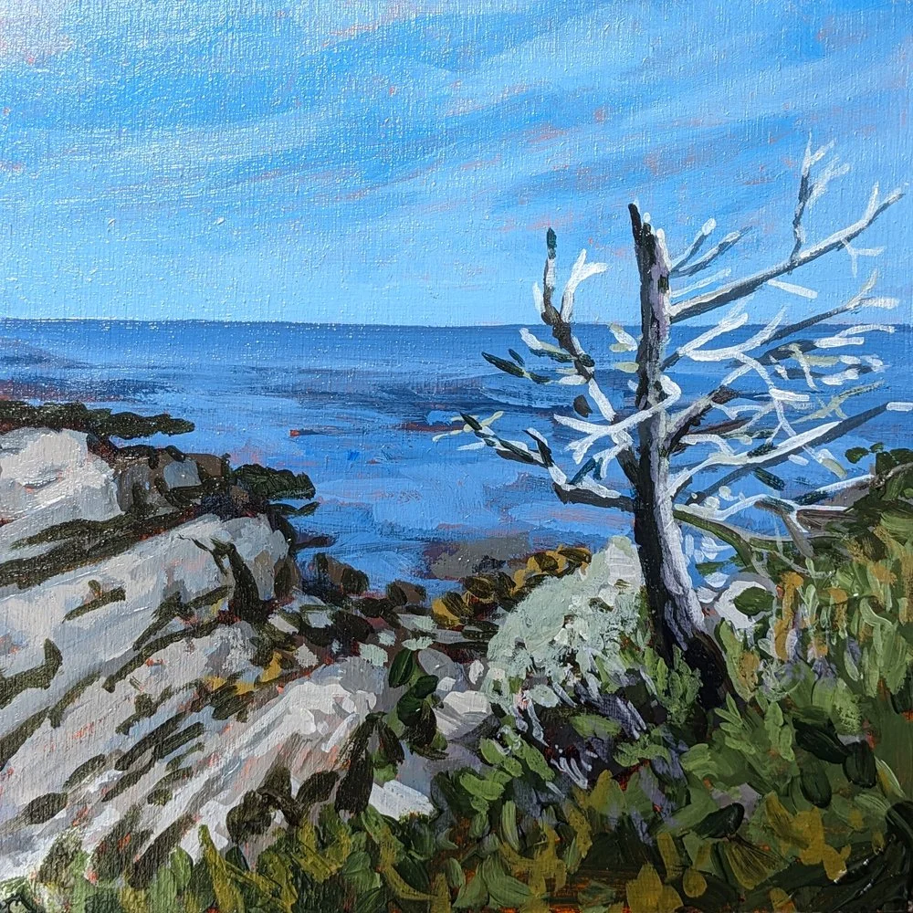 873	"View at Taylor Head Trails" Jack Ross