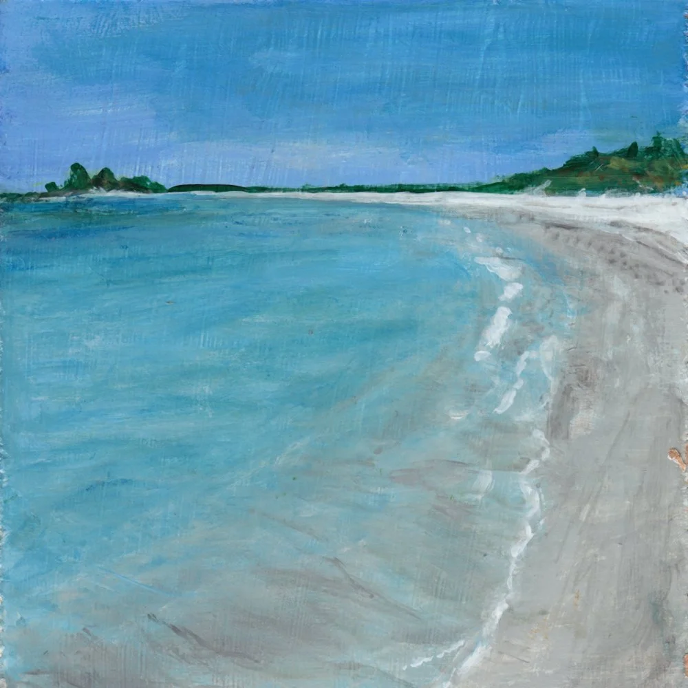 1130. "Carter's Beach" Mary Allanach