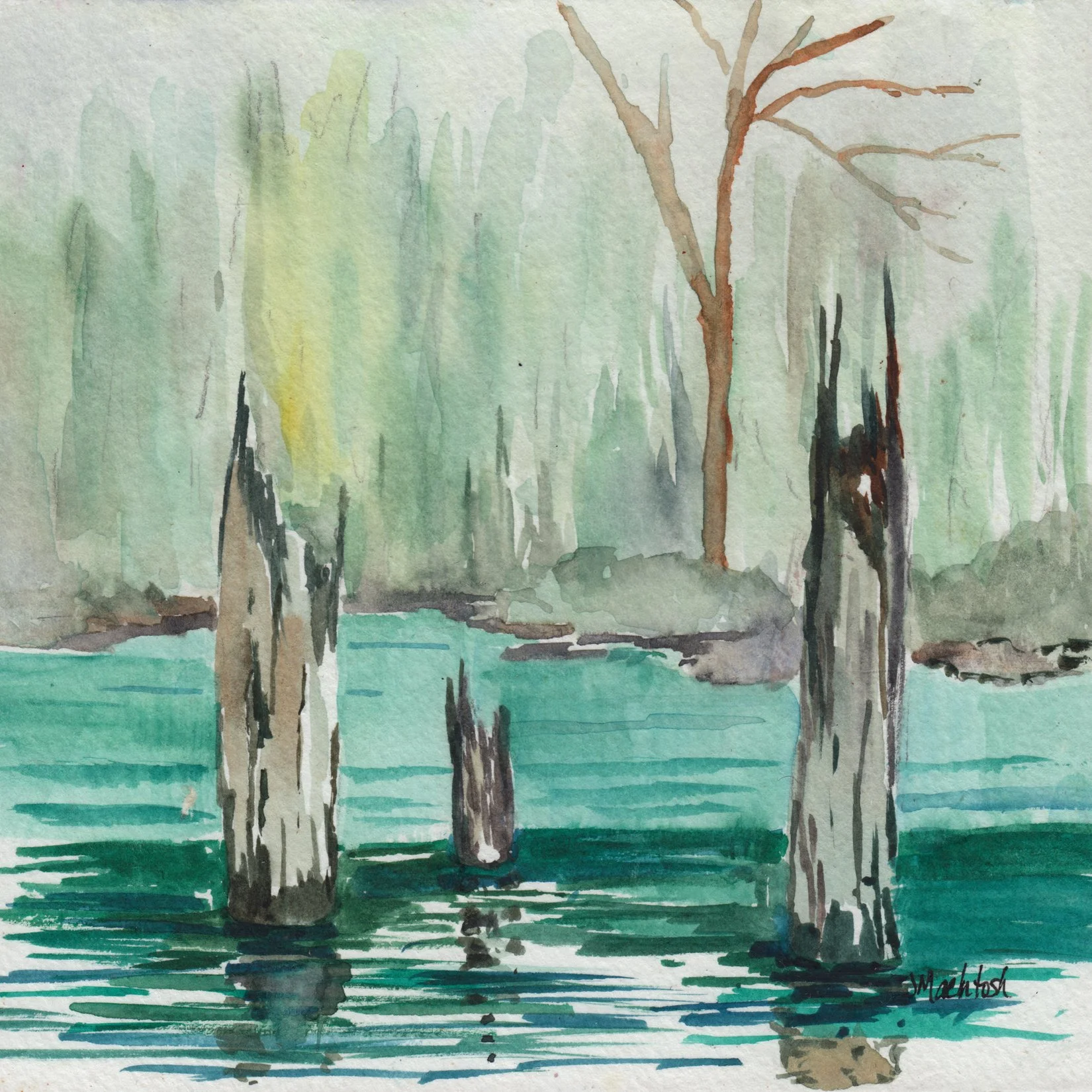 167. "Trio Stumps" Judy MacIntosh