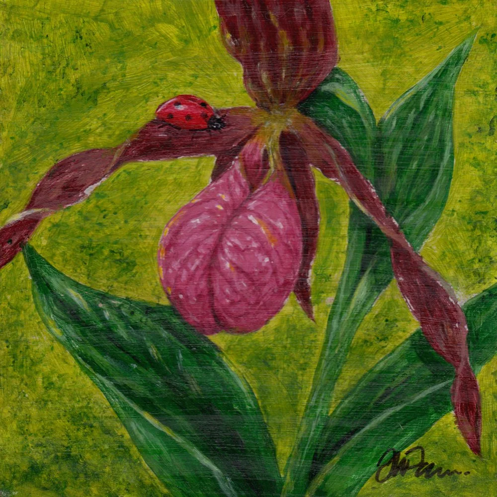 1194. "Lady Meets Lady"	Jessica Parsons