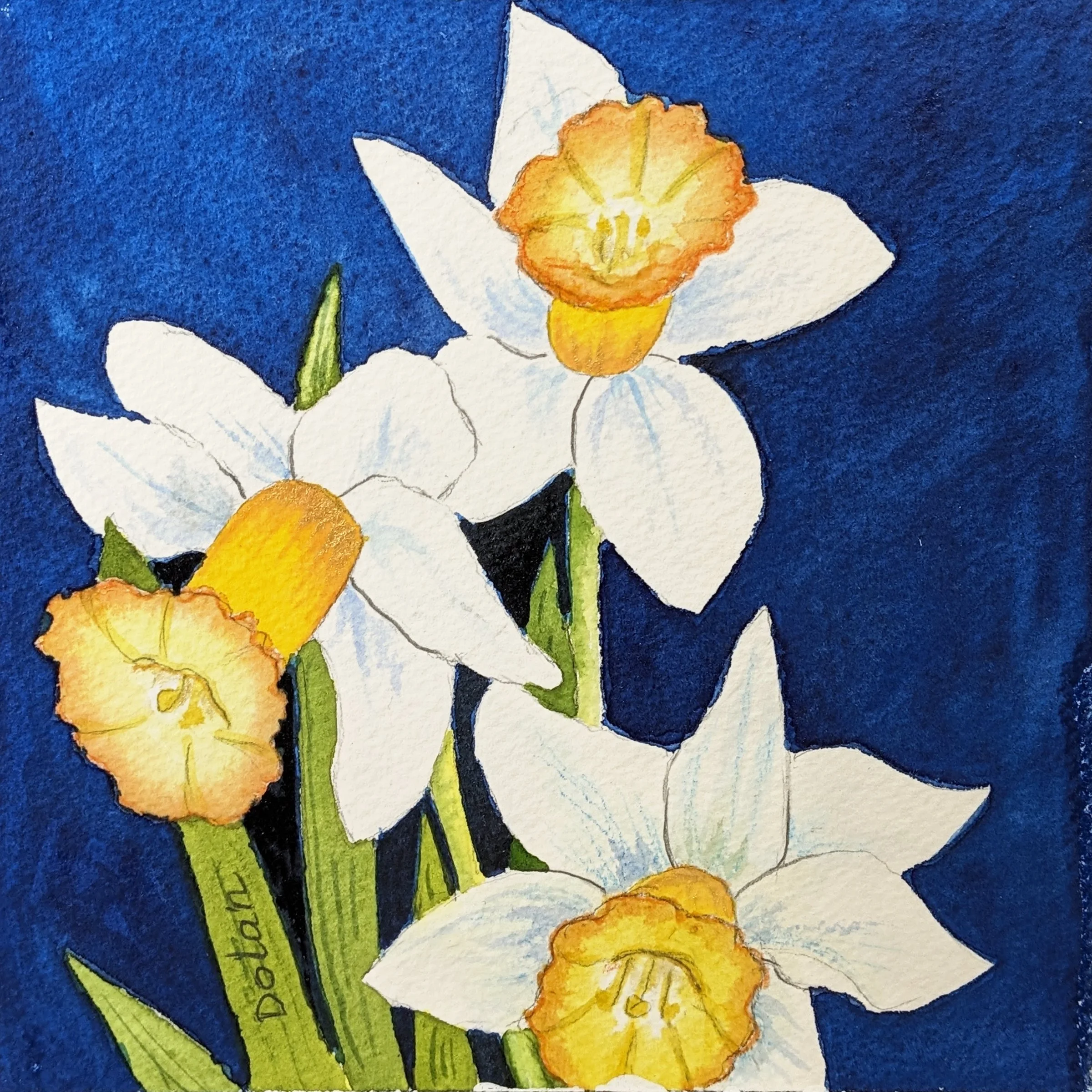 535. "Daffodils" Donna Dolan