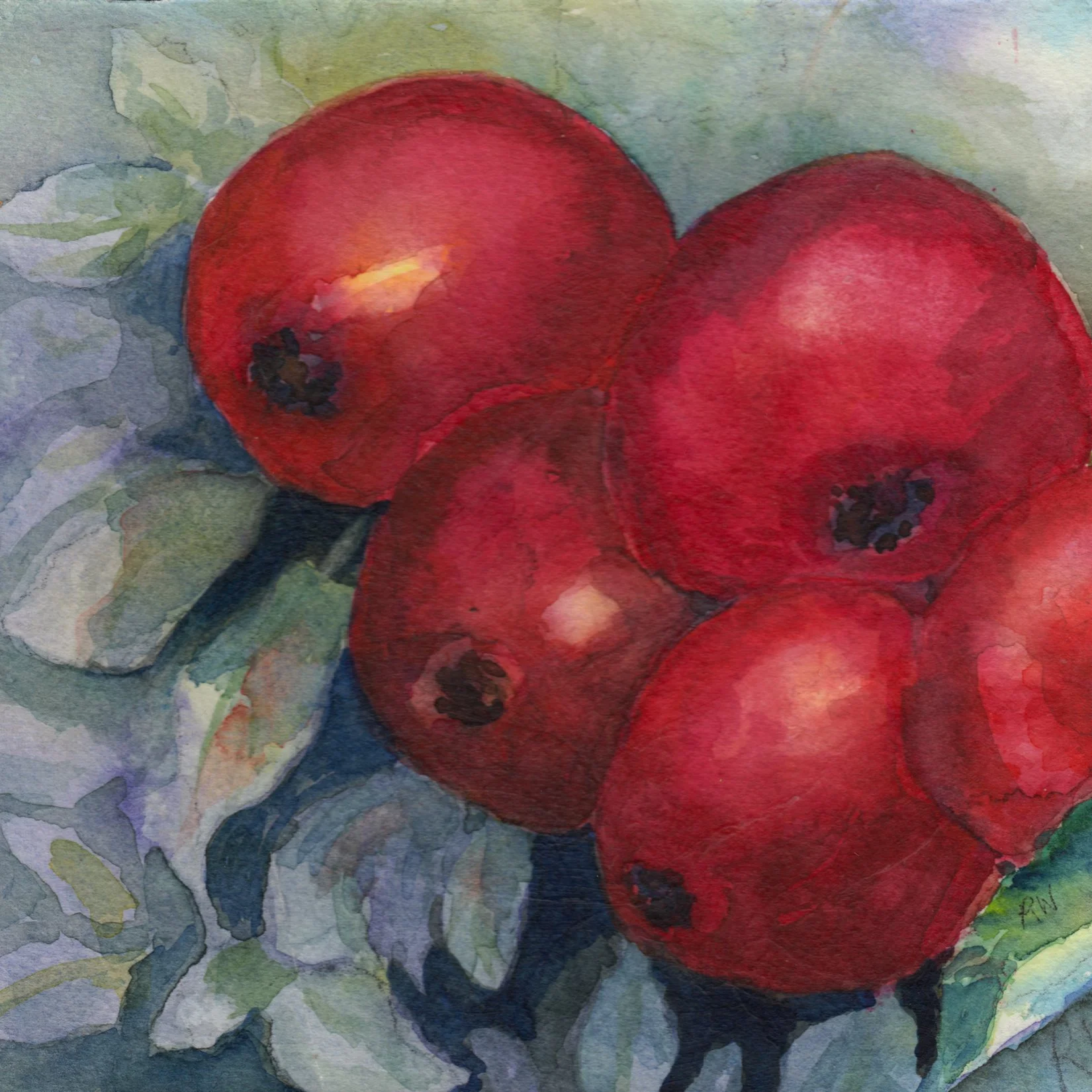 21. "NS Grows Lovely Apples" Rena Waters
