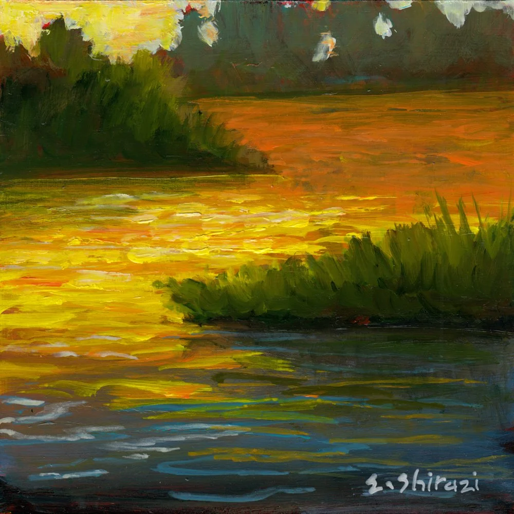 917.	"Beneath the Bright Sky" Eman Shirazi