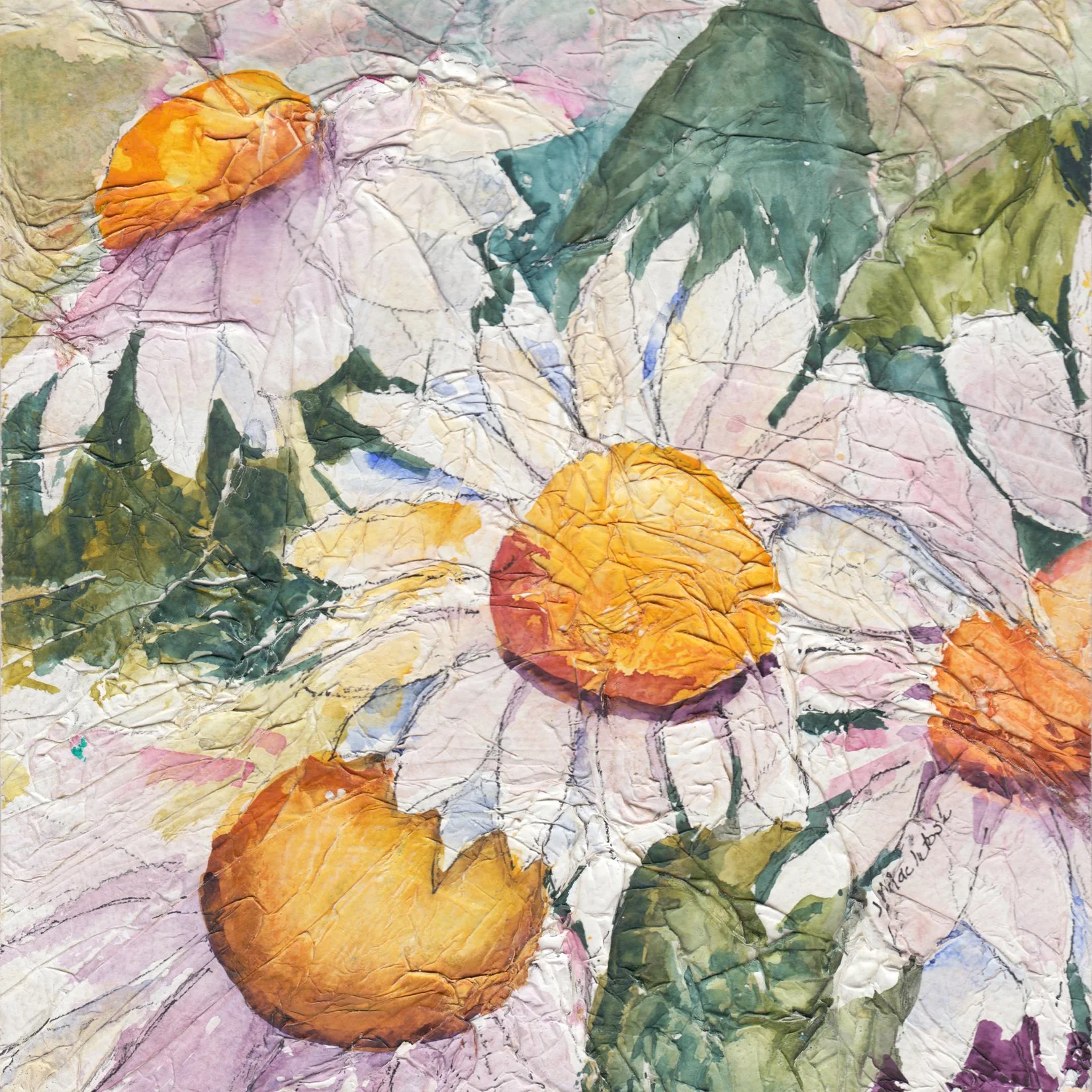 168. "Daisy Patch" Judy MacIntosh