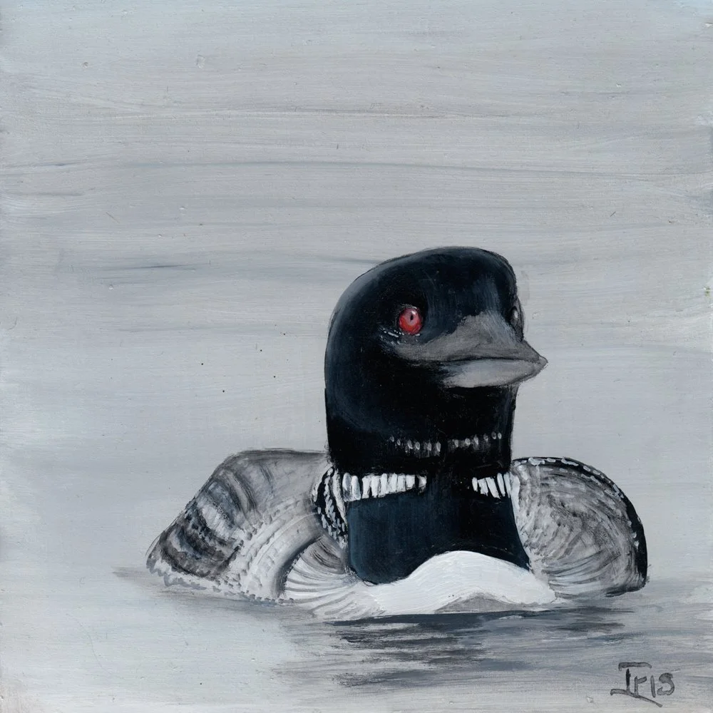 573. "Thankfully the Loons are Back" Iris A. Hardy