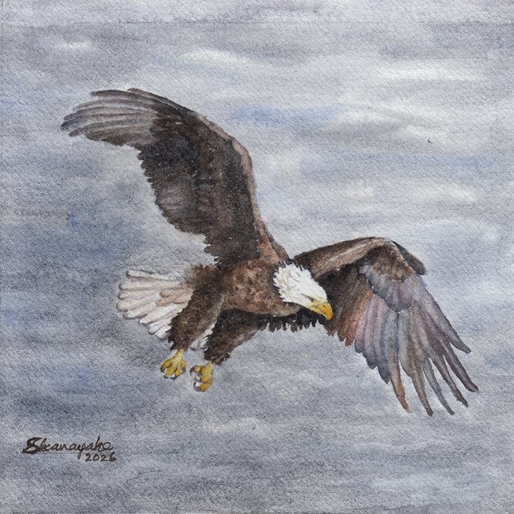500 - "Fishing" - Sunetra Ekanayake