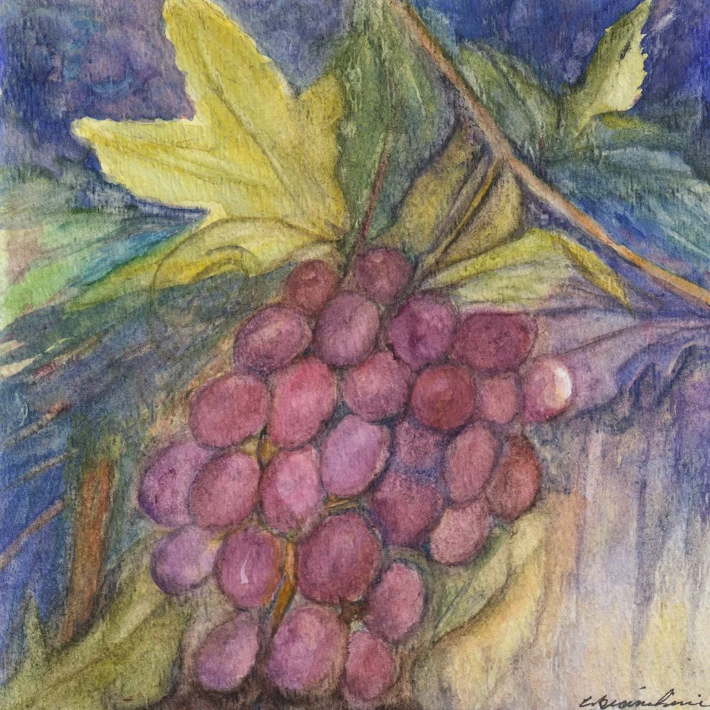 1166. "Grapes on the Vine"	Carla Bianchini