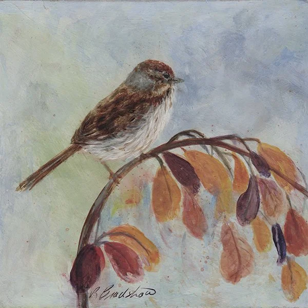 177 - "Kindness to all Big or Small" - Robin Bradshw