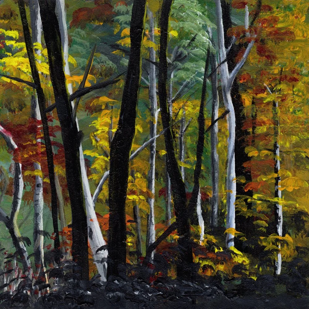 795. "Fall Light in the Forest" Sandra Preeper
