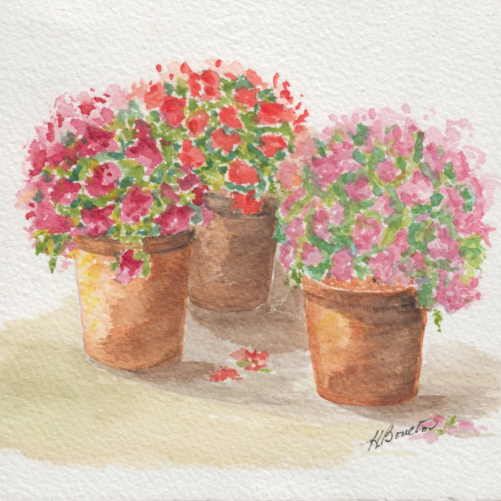 128. "Patio Blooms" Helen Boulton