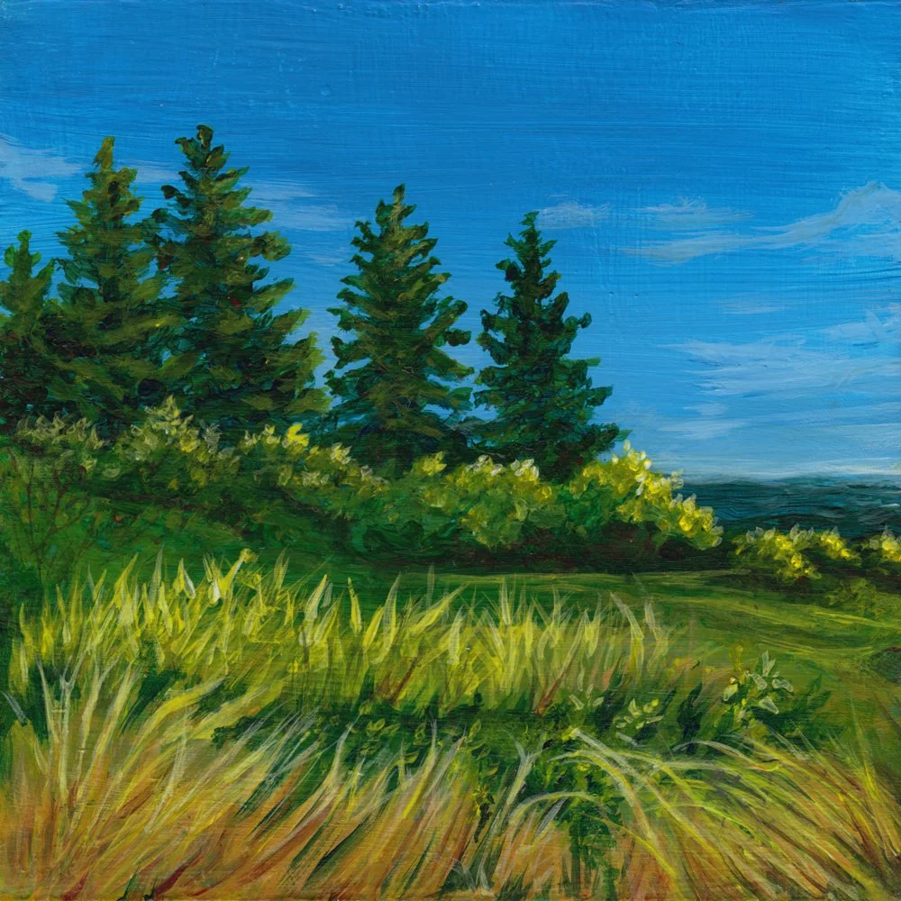 1041. "A Sea View" Kathleen Knight