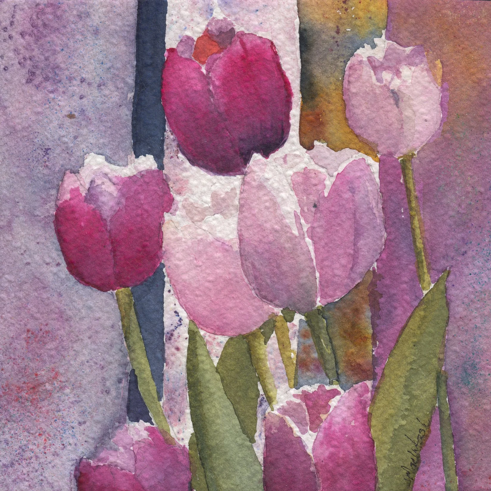 178. "The Tulips" Judy MacIntosh