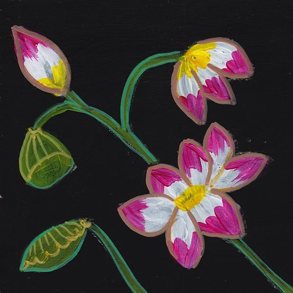 267 - "Night Flowers" - Jeanie Kimber