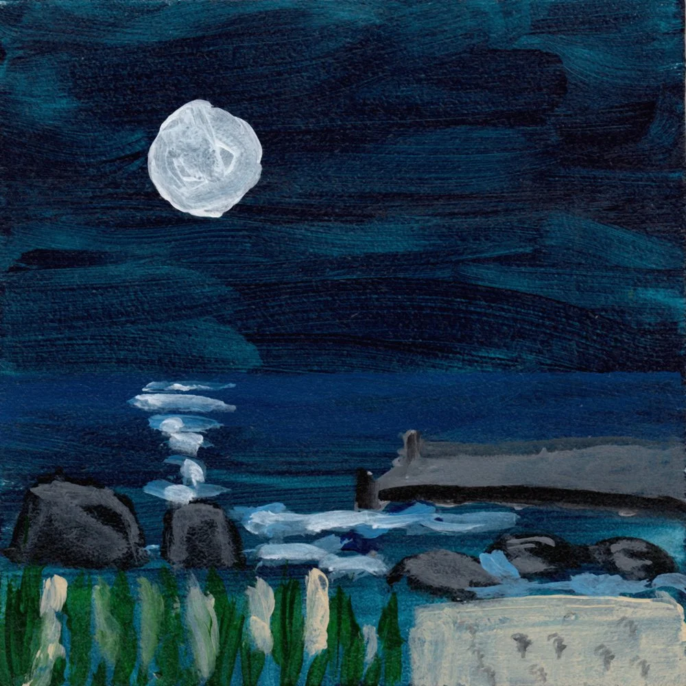 852. "Night Sky on the Ocean" Dylan Mosher