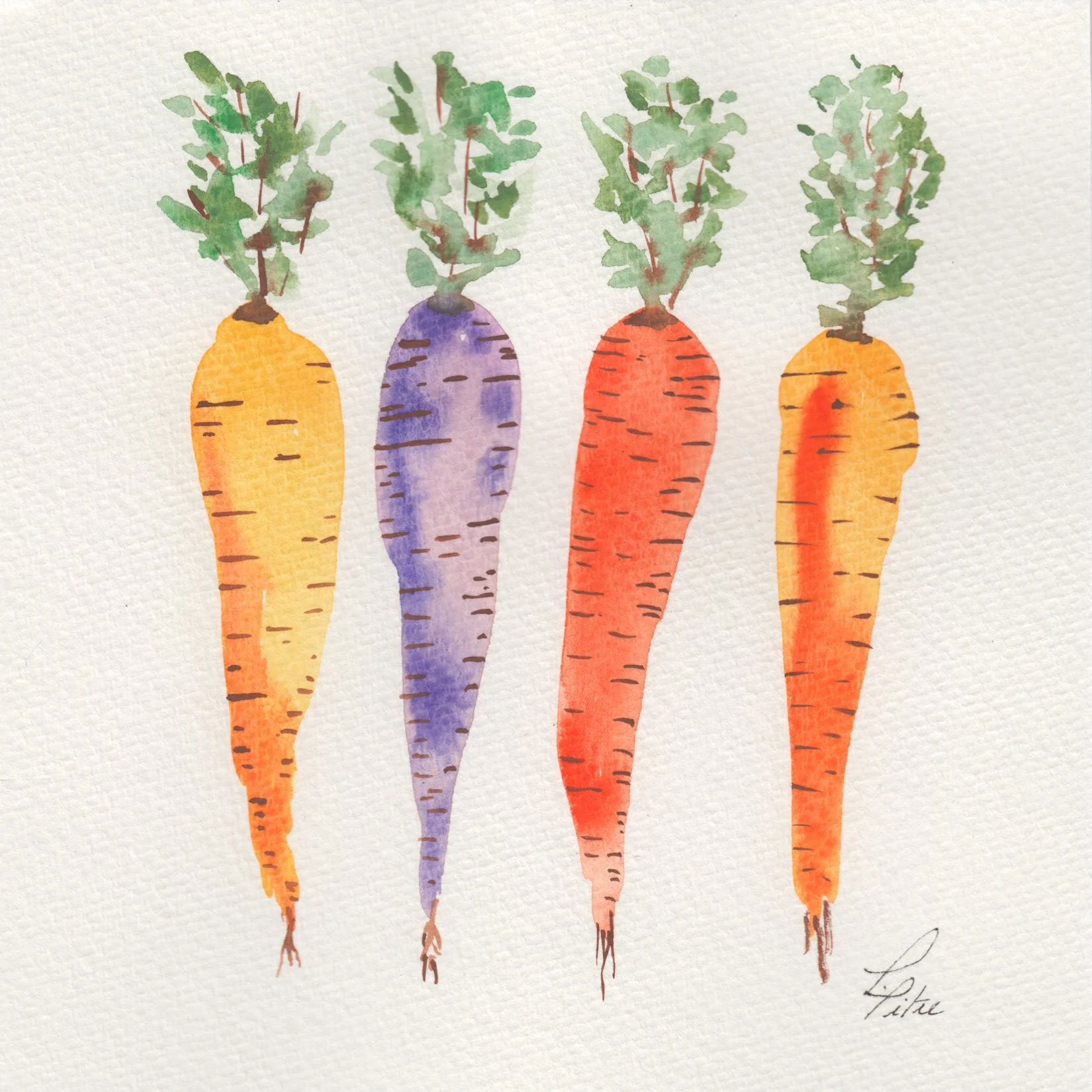 297. "Petites Carottes" Lise Pitre