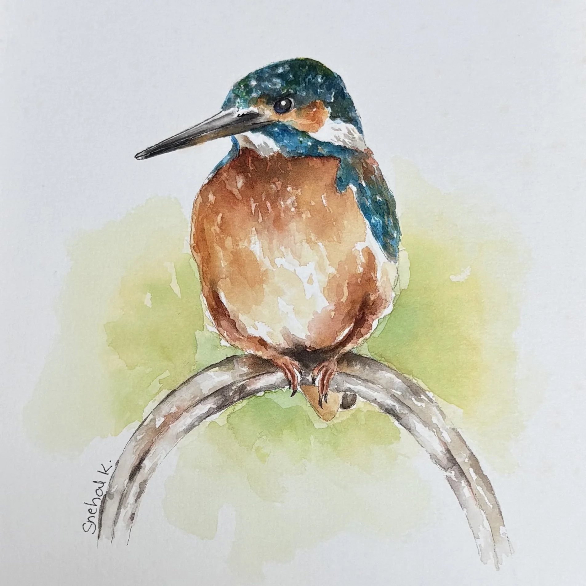 372 - "Kingfisher" - Snehal Kank