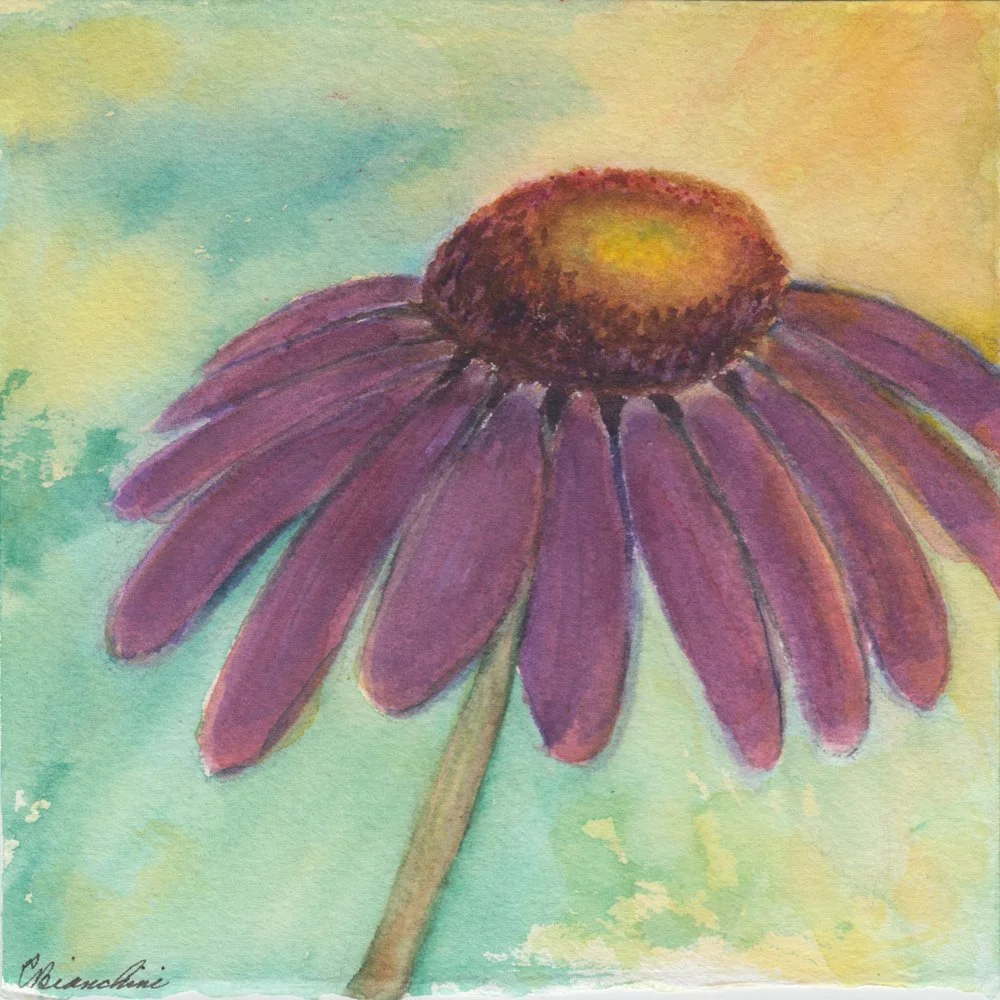 1165. "Captured - Cornflower" Carla Bianchini