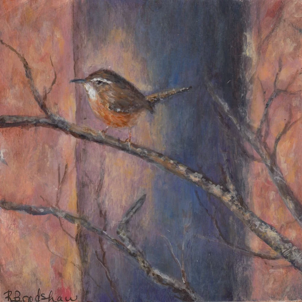 1114	. "Protect Nature" Robin Bradshaw