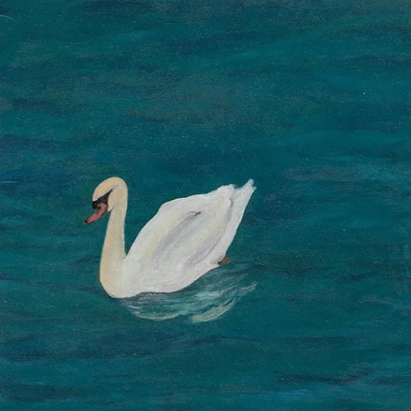 427 - "Gliding Peacefully" - Shwetha Hedge