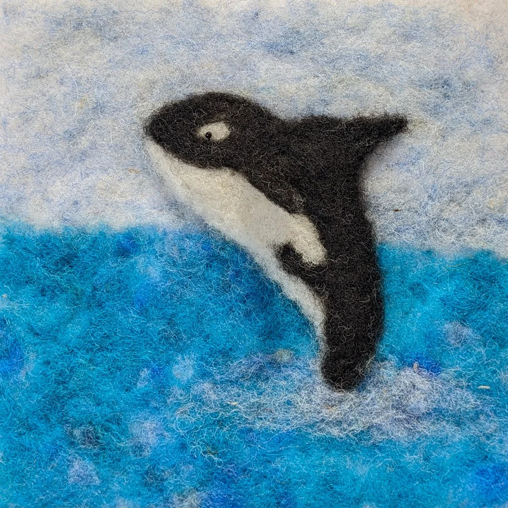 1133. "Orca 1" Meridy Thomson
