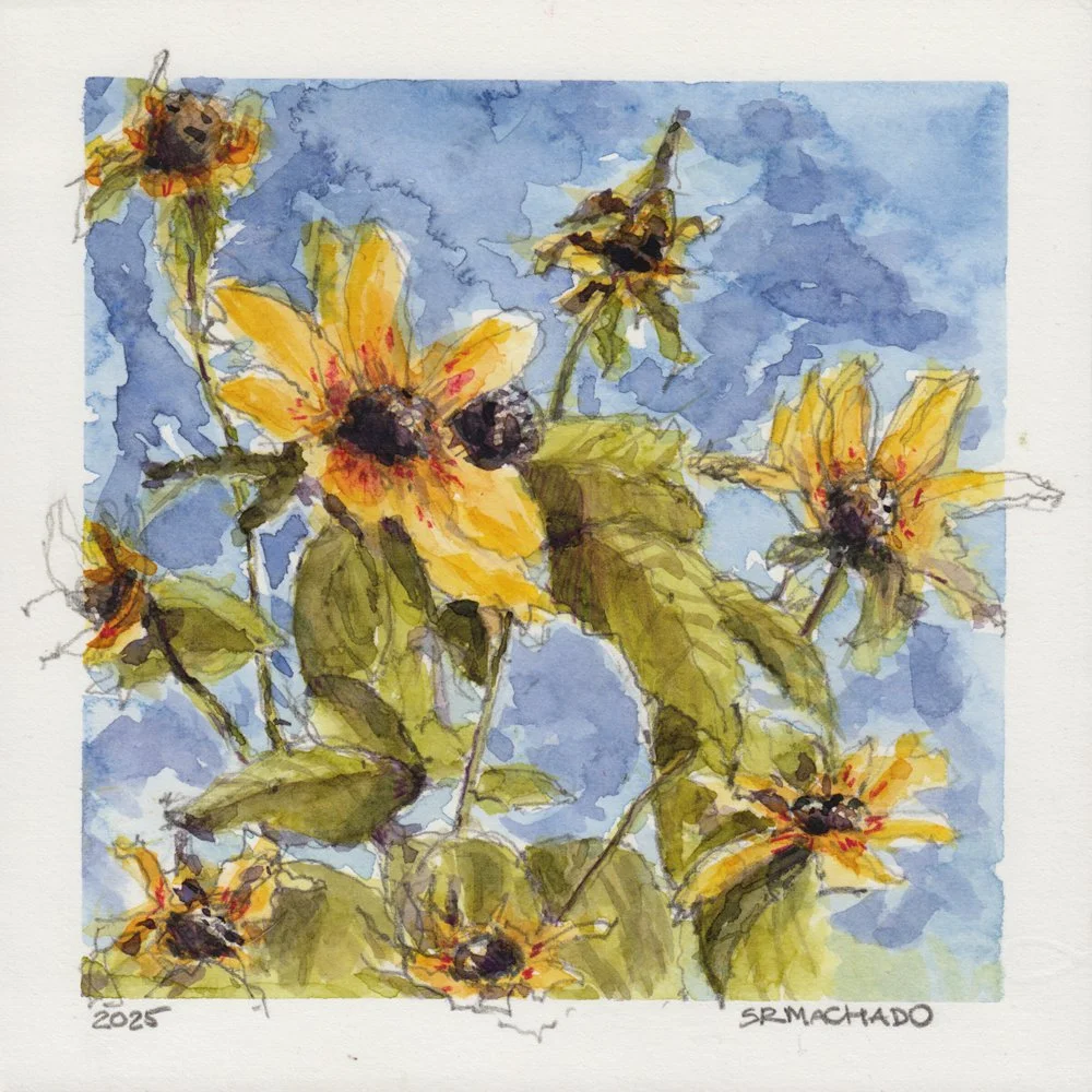 1202. "Gerbera"	Samantha Rodriguez