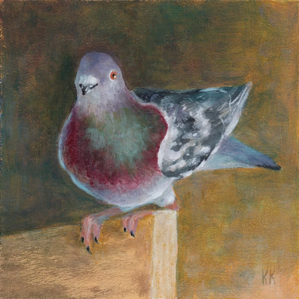 1173. "Perch (Rock Dove)" Krista Kenny