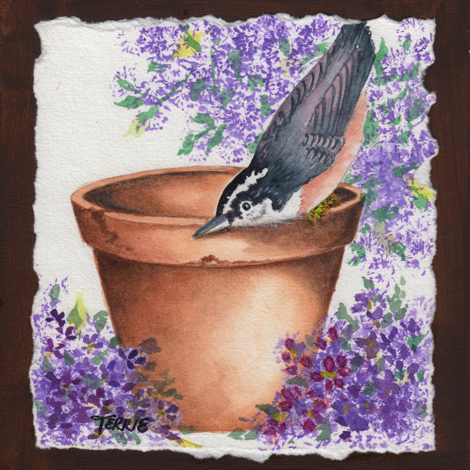 273. "Nuthatch + Lilacs" Terrie Greencorn