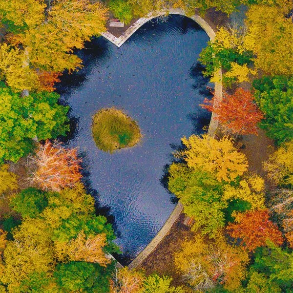 187 - "Heart Pond Halifax - Autumn" - Rob Semple