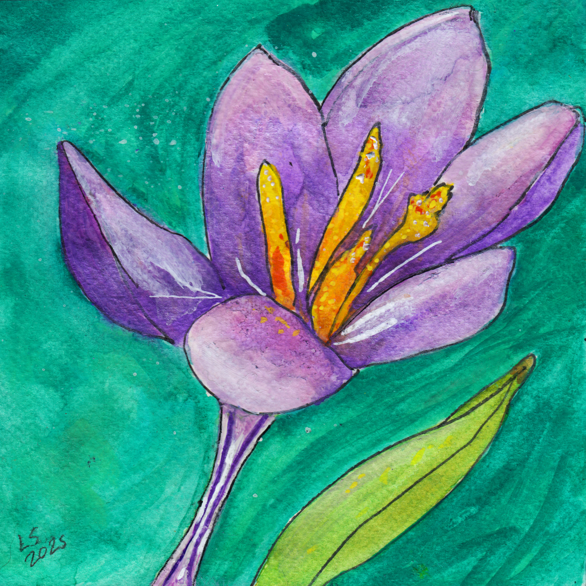 498. "First Signs" Lori Savory