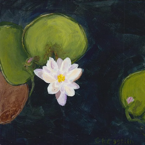 207 - "Water Lily" - Christine Heggelin
