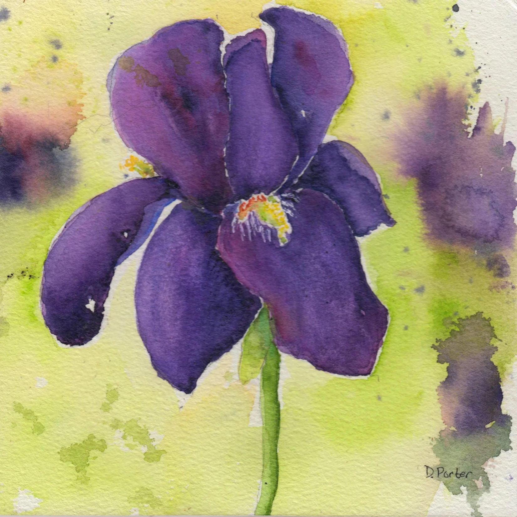161. "Iris" Diane Porter