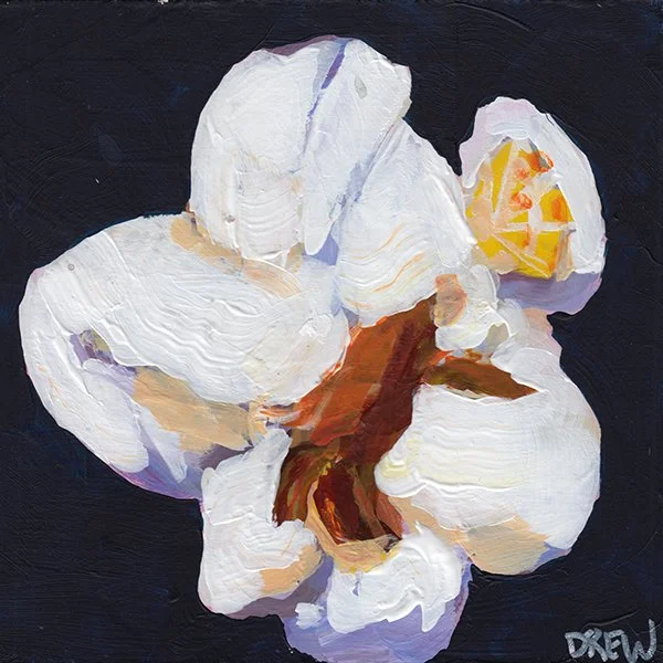 294 - "Popcorn #1" - Drew DeCoste