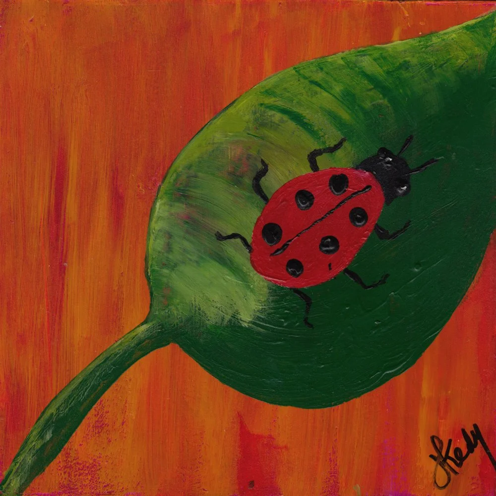 643. "Little Lady" Judi Goodwin-Kedy