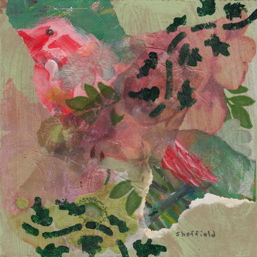 610. "Bird In the Bush" Sara Sheffield