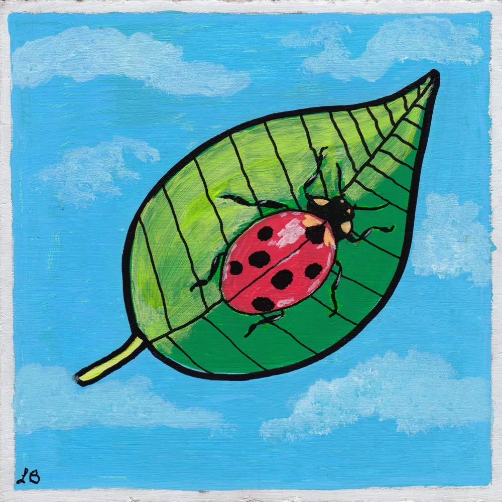 661. "Miss Ladybug" Laura Bouchard