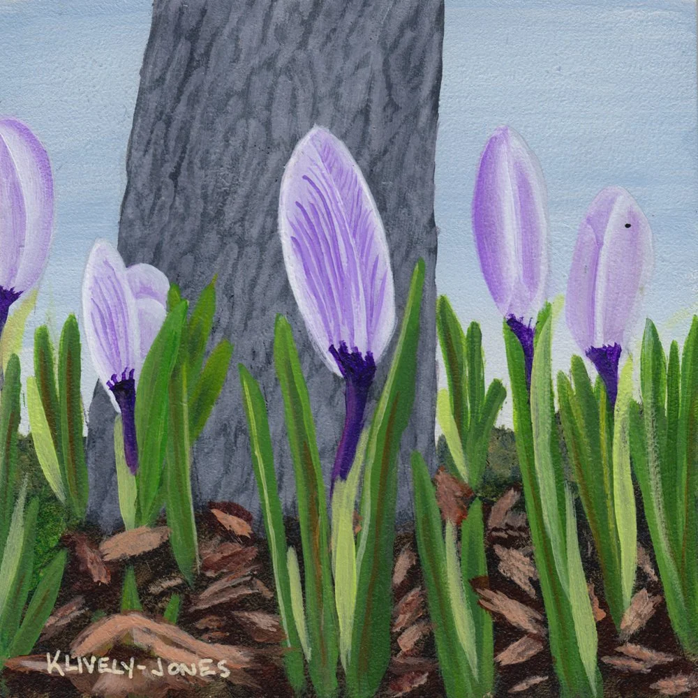 834. "Spring Time Blooms" Kelly Lively-Jones