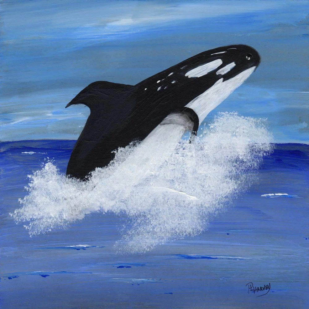 683. "Whale Watching" Phyllis L. Harvey