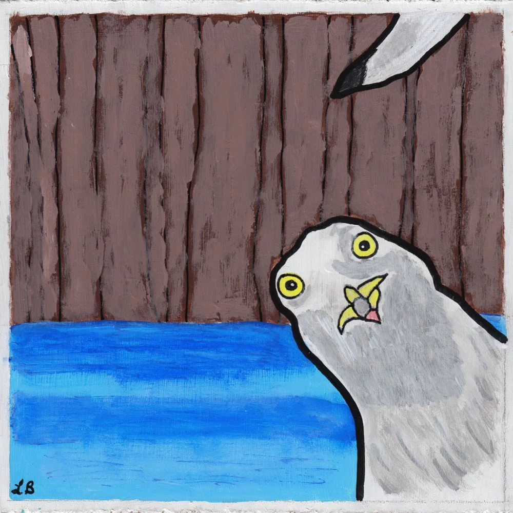 662. "Photo Bomb" Laura Bouchard