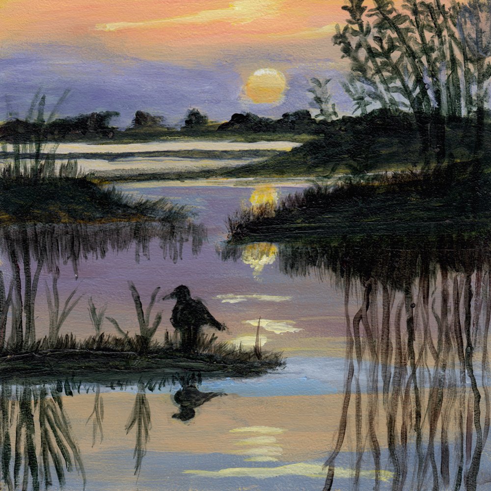 735. "Sunset Reflections" Barbara Wornell