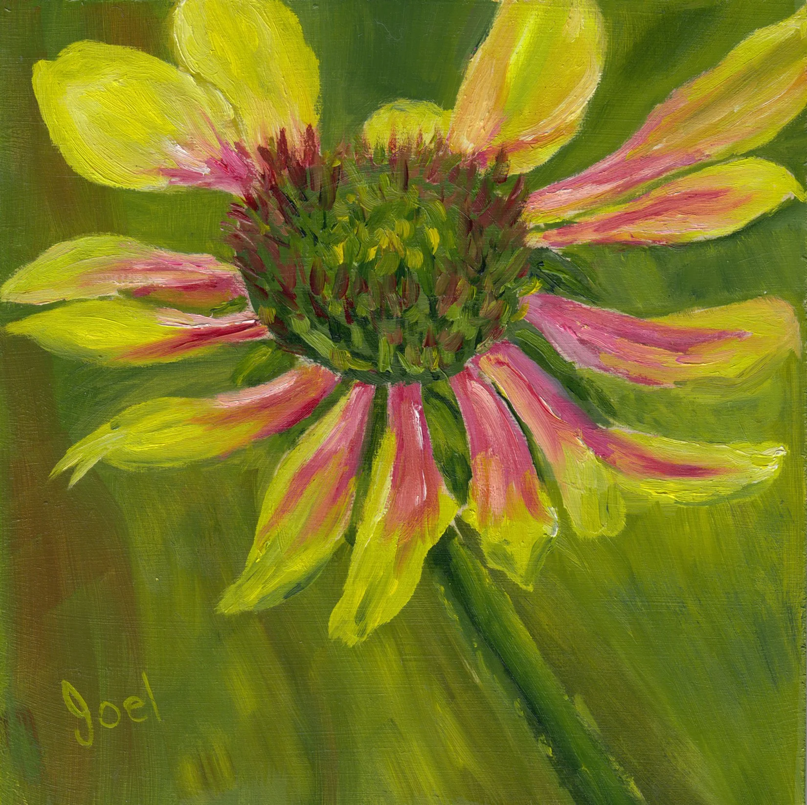 381. "Summer Bloom" Joel Fraser