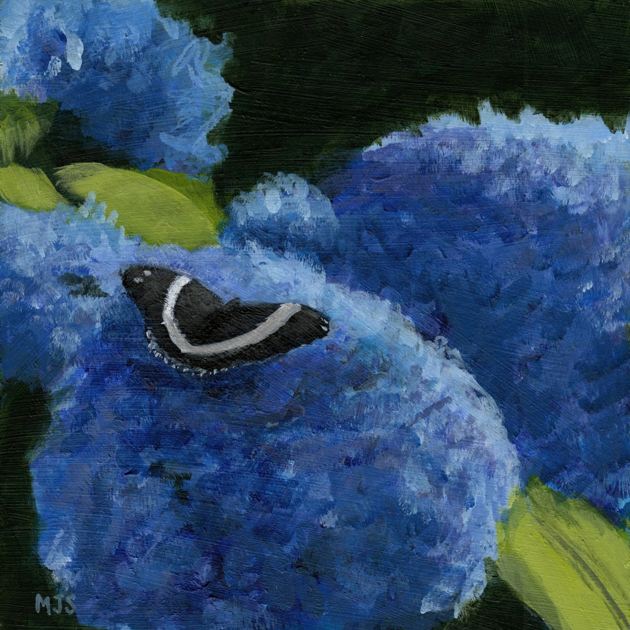 542. "Sitting Pretty" Malcolm Smith