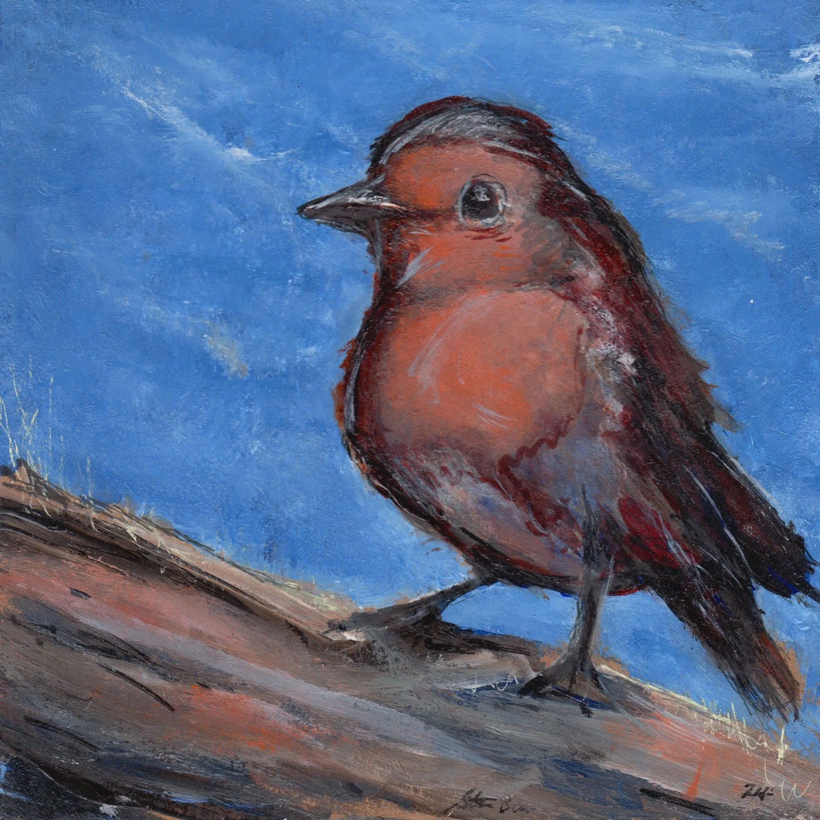 2. "Happy Robin" Steven Buckland