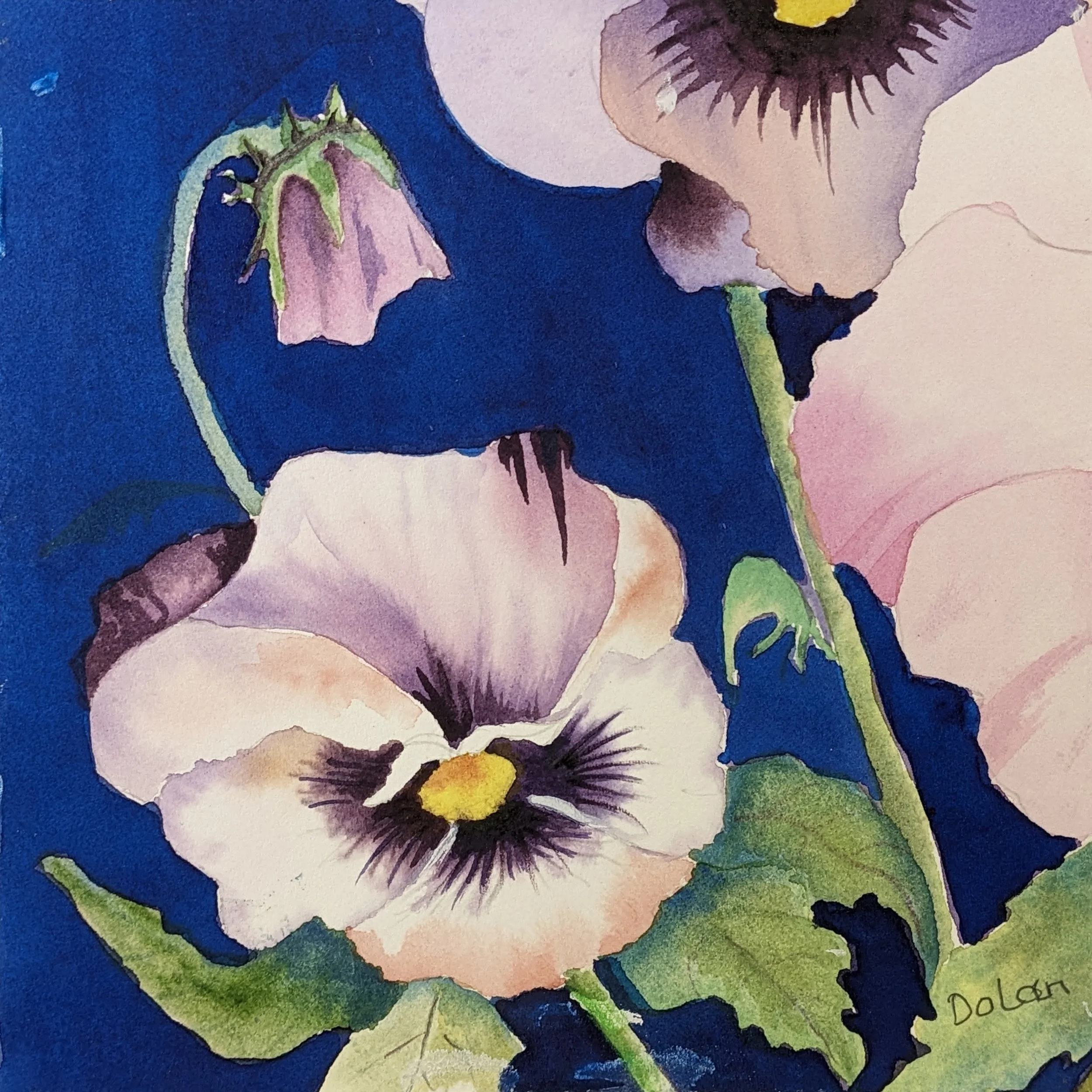 534. "Pansy" Donna Dolan