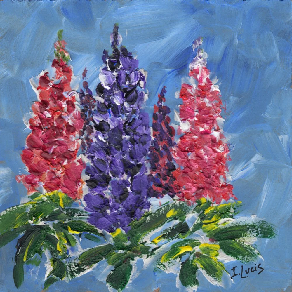 532. "Nova Scotia Lupins" Ilze Lucis